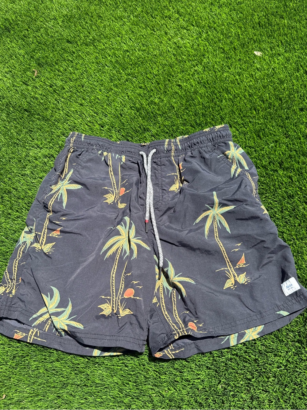 Katin stash it Men's Black Tropical Palm Print Swim Shorts